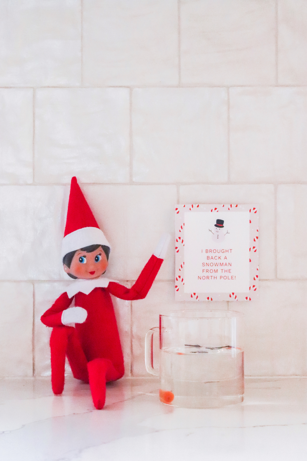 35+ *Cutest* Elf On The Shelf Ideas You Have To Try 2024