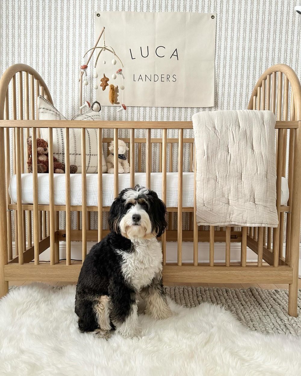 A baby boy nursery idea with white and grey tones, a light wood crib, and vintage inspired decor