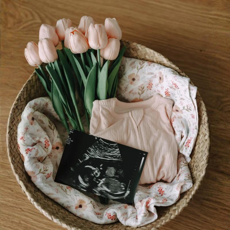 spring pregnancy announcement