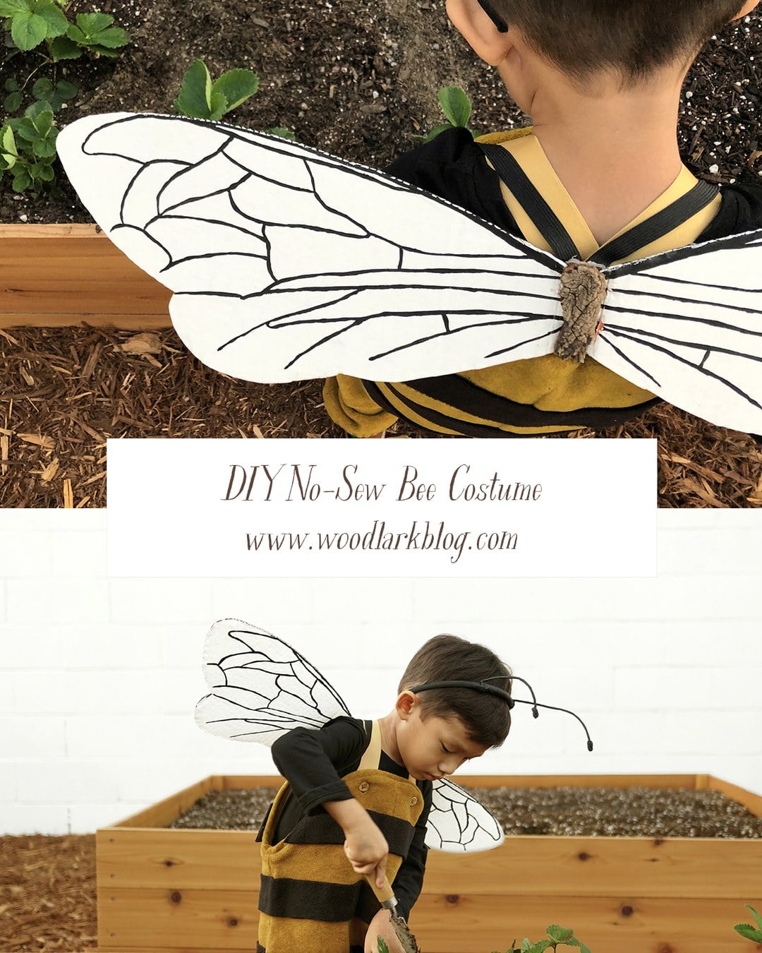 Baby dressed as a bumblebee with cardboard wings and a headband topped with pipe-cleaner antennae.