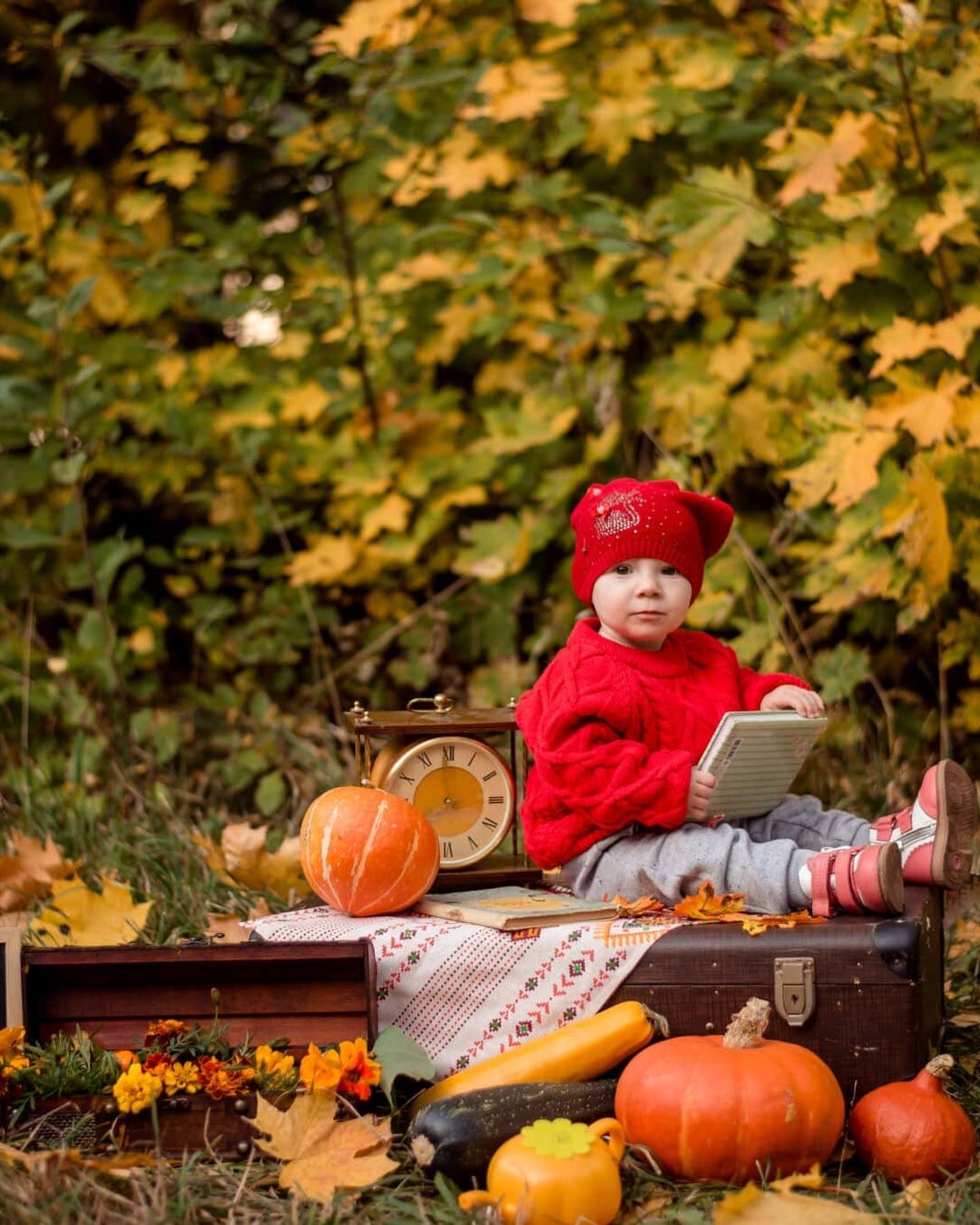 A baby in a red knit hat and cable-knit sweater sitting on a vintage suitcase holding a small book, surrounded by pumpkins, marigolds and maple leaves